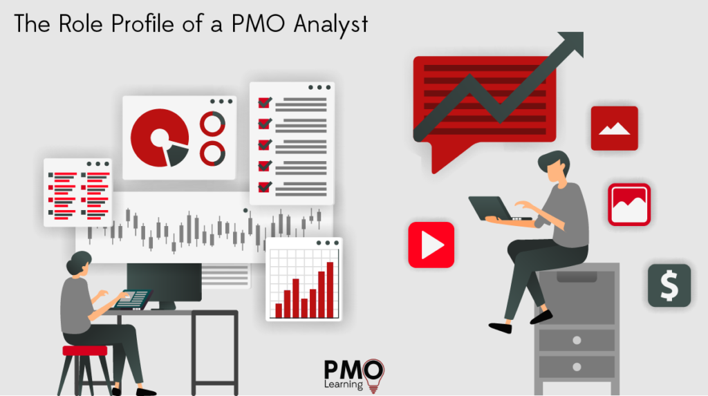 Role Profile of a PMO Analyst