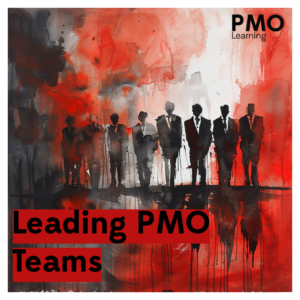 PMO Directors - Provide Leadership in Team Performance